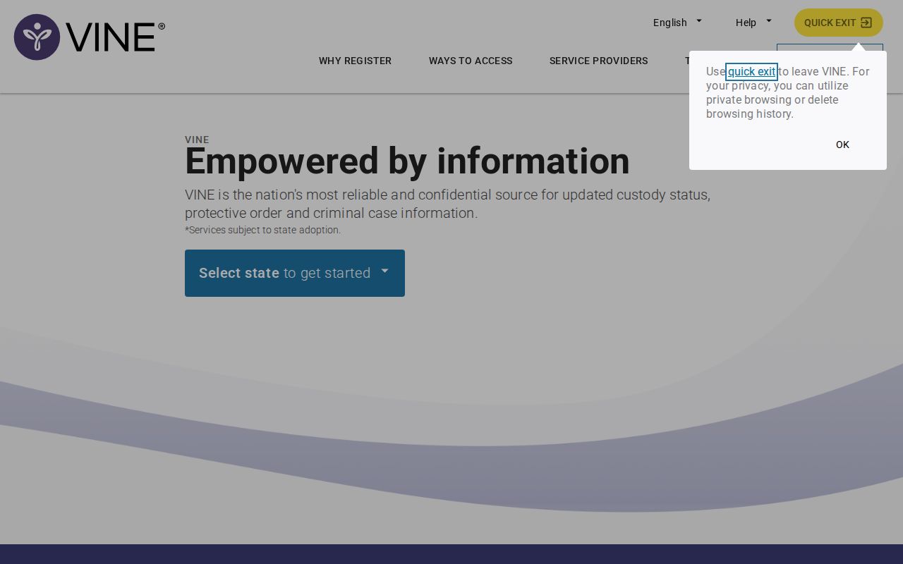 Dallas County criminal record custody notification search