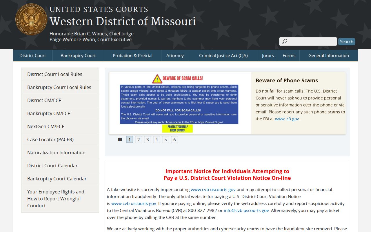 Dallas County criminal records Western District of Missouri